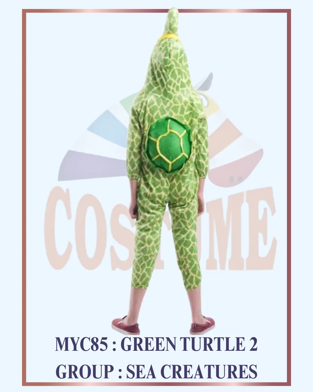 GREEN TURTLE 2